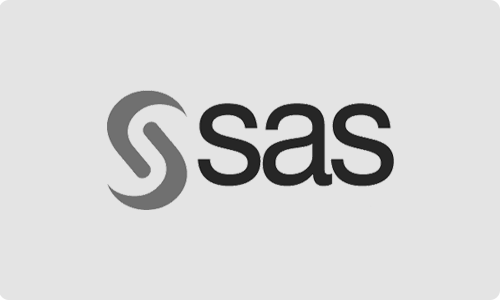 Szkolenie dla firmy SAS z grafiki